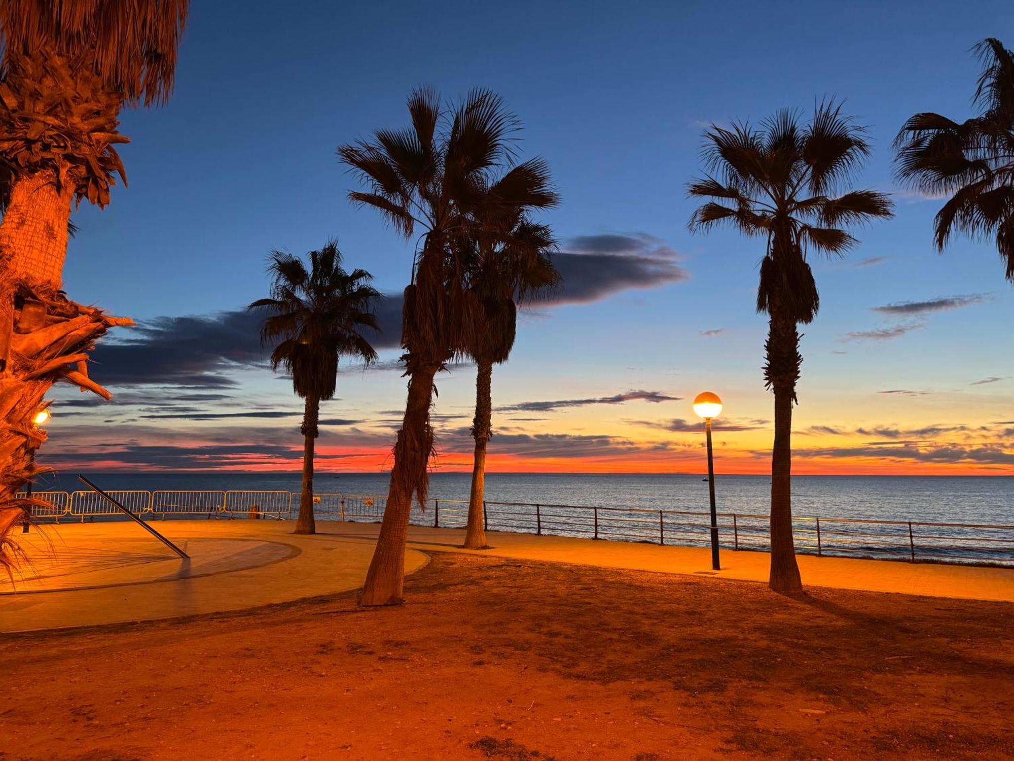 El Rincon * Alicante